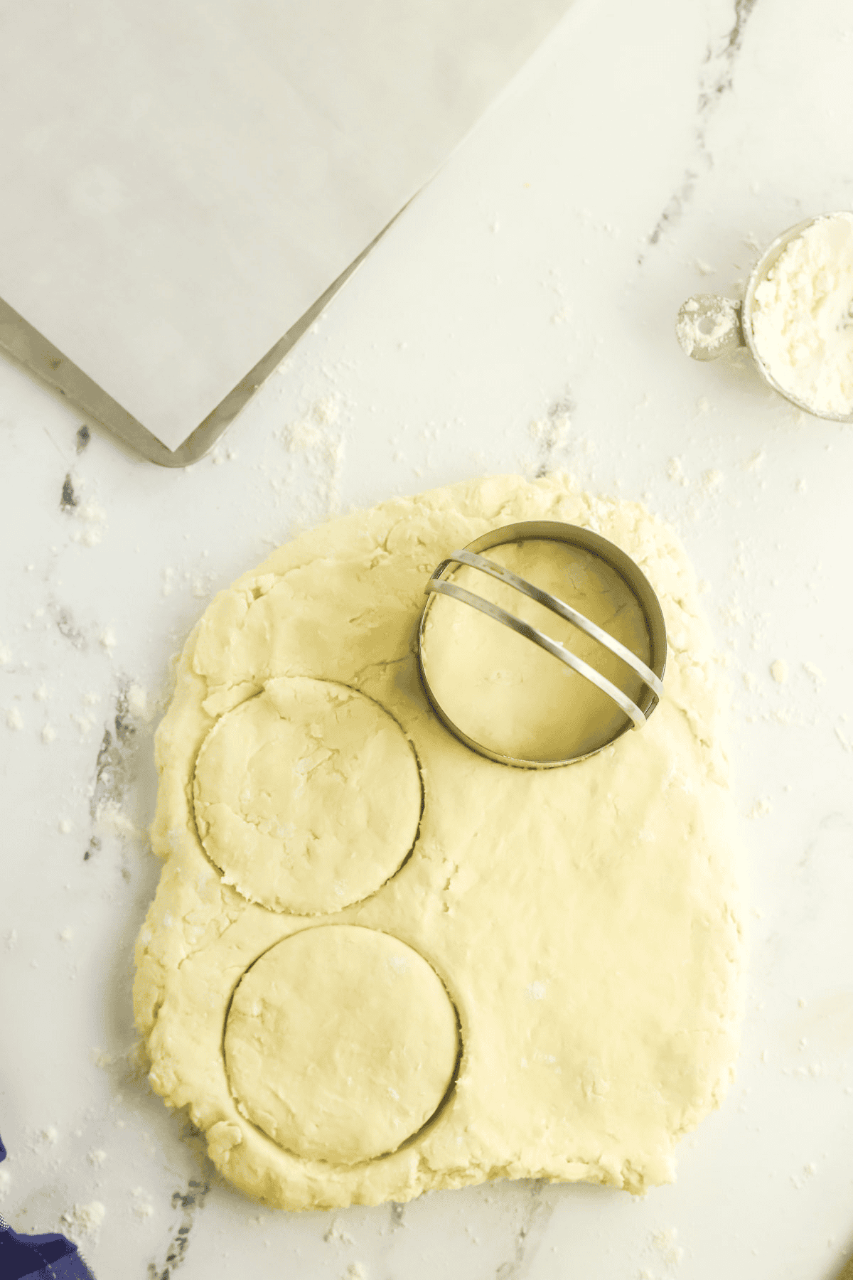 biscuit dough being cut out using a round 2 1/2 inch biscuit cutter