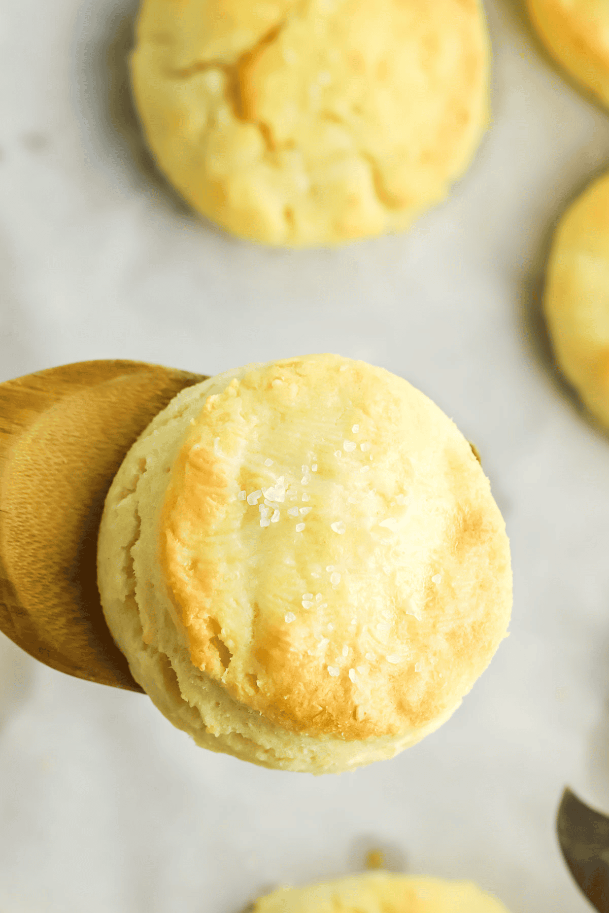 2 ingredient biscuit on a wooden spatula