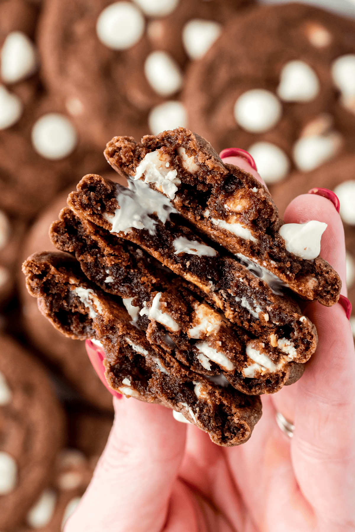 hand holding two white chocolate chip chocolate cookies broke in half