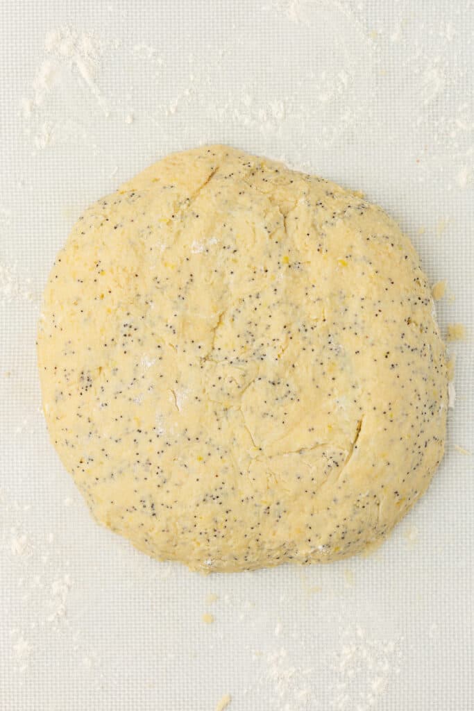 lemon poppyseed scone dough shaped into a disc